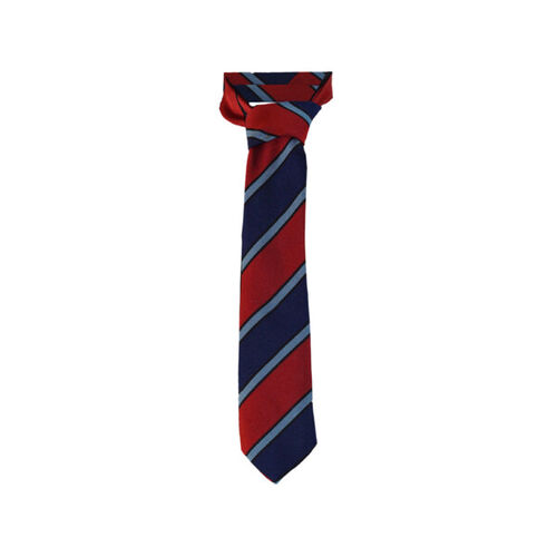 Tannochside Primary Tie Thumbnail