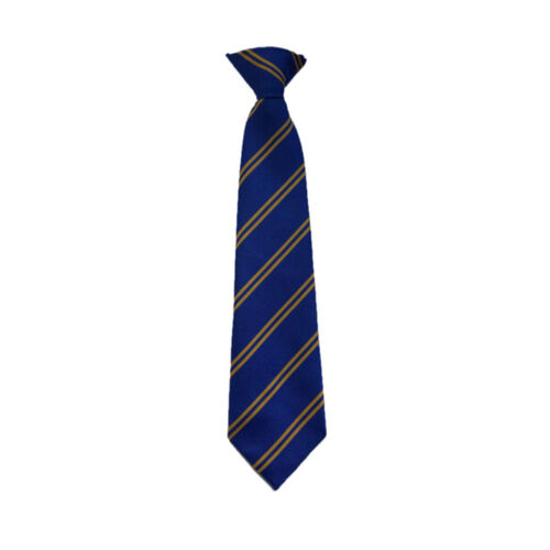 Bothwell Primary Senior Clip-On Tie Thumbnail